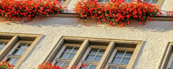 quelle couleur de volets pour une maison beige